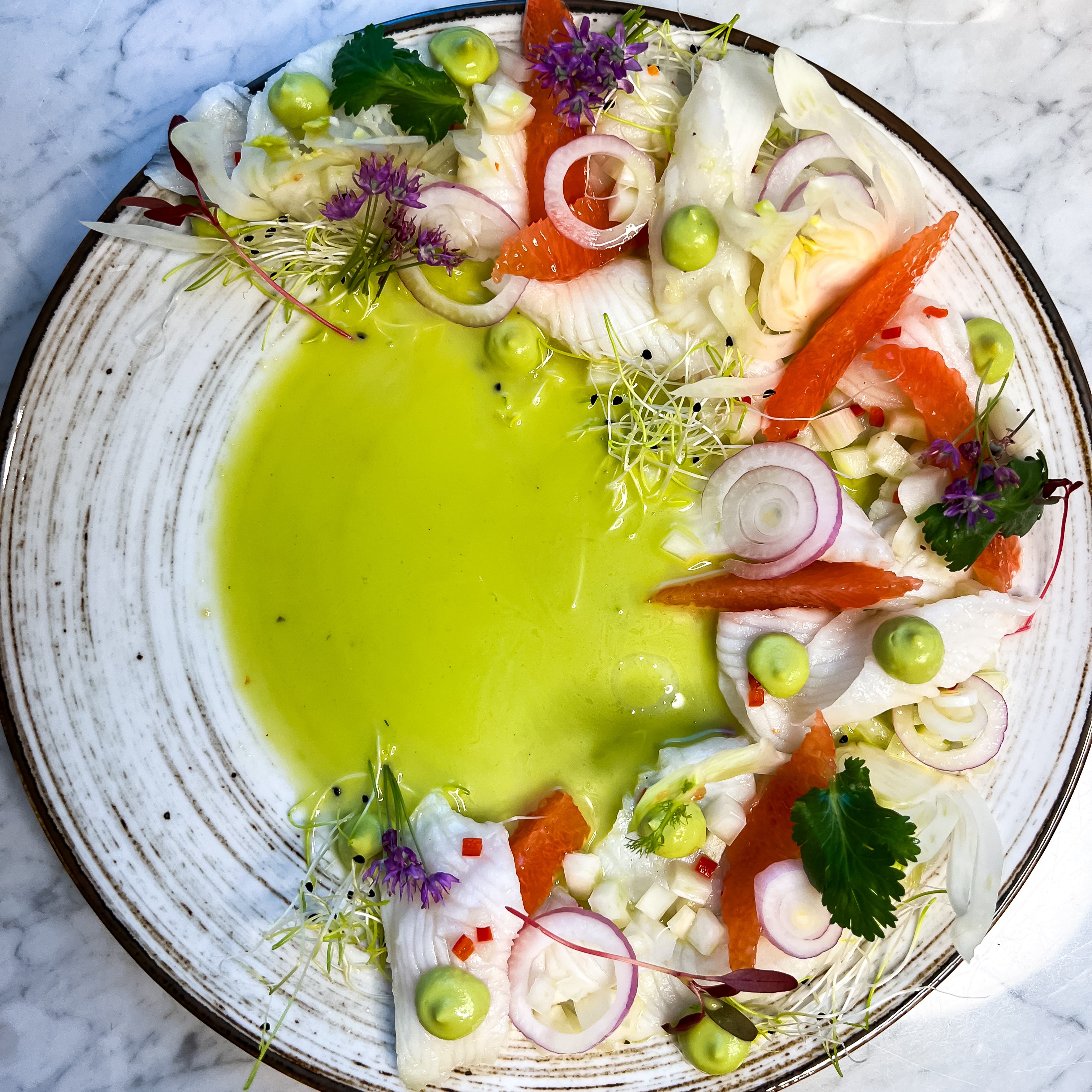 Glacier 51 CEVICHE