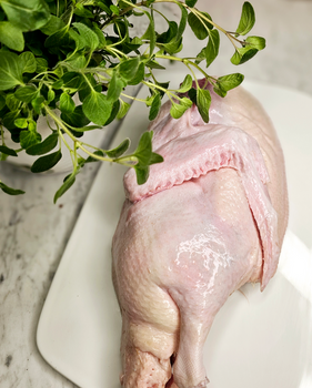 Kaczka połówka tuszki