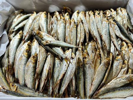Szprotki  Wędzone Tacka 200g