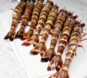 Krewetka Cała Black Tiger 6/8 800g