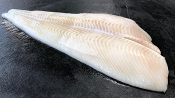 Halibut czarny z Grenlandii Filet bez Skóry