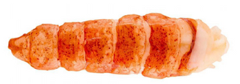 Mięso z ogona homara bez skorupy, 1 szt o wadze ok 113-142g. op 1 kg (7-8 szt)