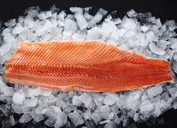 Troć fiordowa świeży filet ze skórą