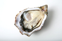 Ostrygi z Normandii Krystale