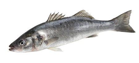 Okoń Morski Francja ok. 700g