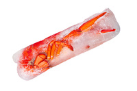 MSC Gotowany homar zmrożony w słonej wodzie, 350g 