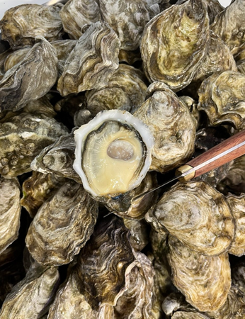 SIGNATURE Premium Francuskie ostrygi Super speciales La Famille Boutrais N°2 koszyk 24 sztuki