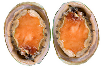 Muszla Greenlip Abalone, IQF, opk. 1kg