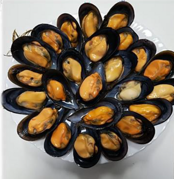 Małże Hiszpańskie- Mejillon