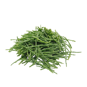 Soliród Świeży Portugalia 500g