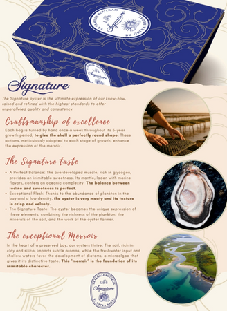 SIGNATURE Premium, Francuskie Ostrygi Super Speciales N°3 La Famille Boutraise, koszyk 24 sztuki