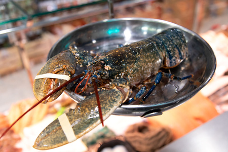 Homar Europejski Niebieski z Bretanii 4 sztuki o wadze ok 500g każdy 