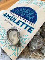 Amulette Francuskie ostrygi koktailowe La Famille Boutrais N°5 koszyk 24 sztuki