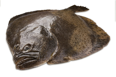 Turbot 3-4 kg, BOX 10 kg