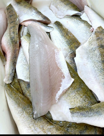 Zanderfilet - Sandacz filet ze skórą świeży M/H 200-400g, 5kg BOX