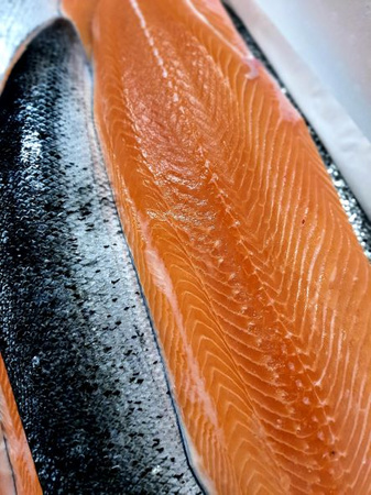 Łosoś z Wysp Owczych świeży filet ze skórą, porcjowany z tuszki o wadze 5-6 kg , vacum ok 1 kg 