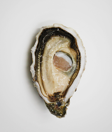 Sentinelles Francuska ostryga, chrupiąca o orzechowym smaku, La Famille Boutrais