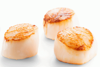 Przegrzebki HOTATE 20/30 Scallopy św. Jakuba 20/30, MSC, IQF opk. 1kg