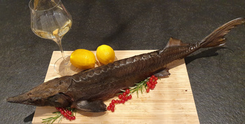 Jesiotr Cały Wędzony na Ciepło waga ok 1.9 kg / szt