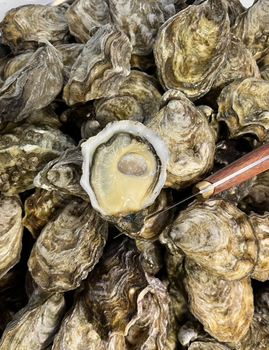 SIGNATURE Premium Francuskie ostrygi Super speciales La Famille Boutrais N°2 koszyk 24 sztuki