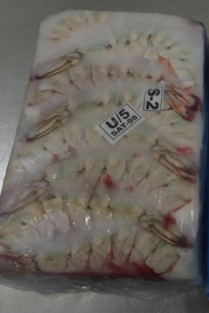 Krewetka Black Tiger U5 bez głowy w pancerzu, blok mrożony, opk. 1,8kg