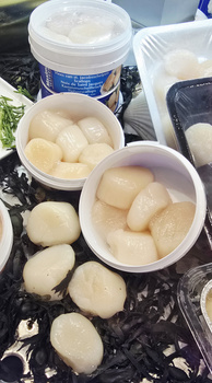 Duże przegrzebki morskie U10 z Japonii op. 1 kg