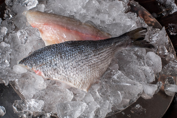 Dorada royal filet ze skórą 100-140g / szt, op 1 kg (6-7 filetów)