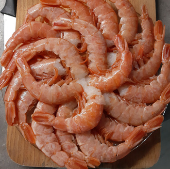 Krewetka Argentyńska bez głowy w pancerzu HLSO EZP 8/12, IQF 80%,
