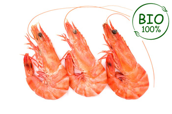 Gotowane krewetki z Madagaskaru 30/40 BIO