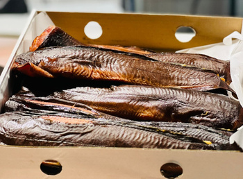 Sum Tuszka Wędzony na Ciepło