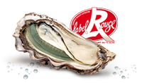Ostryga Fine Verte Label Rouge Geay