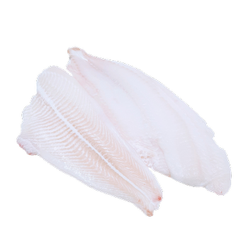 Sola Filet bez Skóry 