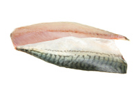 Makrela atlantycka ,filet ze skórą