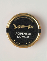 Czarny kawior z jesiotra syberyjskiego Acipenser Domum