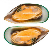 Omułki Nowa Zelandia, IQF, opk. 1kg