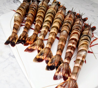 Krewetka Cała Black Tiger 6/8 800g