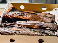 Sum Tuszka Wędzony na Ciepło