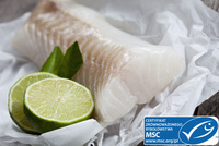 Dorsz atlantycki świeża polędwica bez skóry i bez ości, 1kg ( 2-3 polędwice)