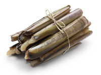 Razor clams Navaja, Brzytwy siatka