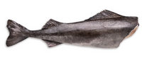 Black Cod Yakutat -Alaska tusza 5/7kg